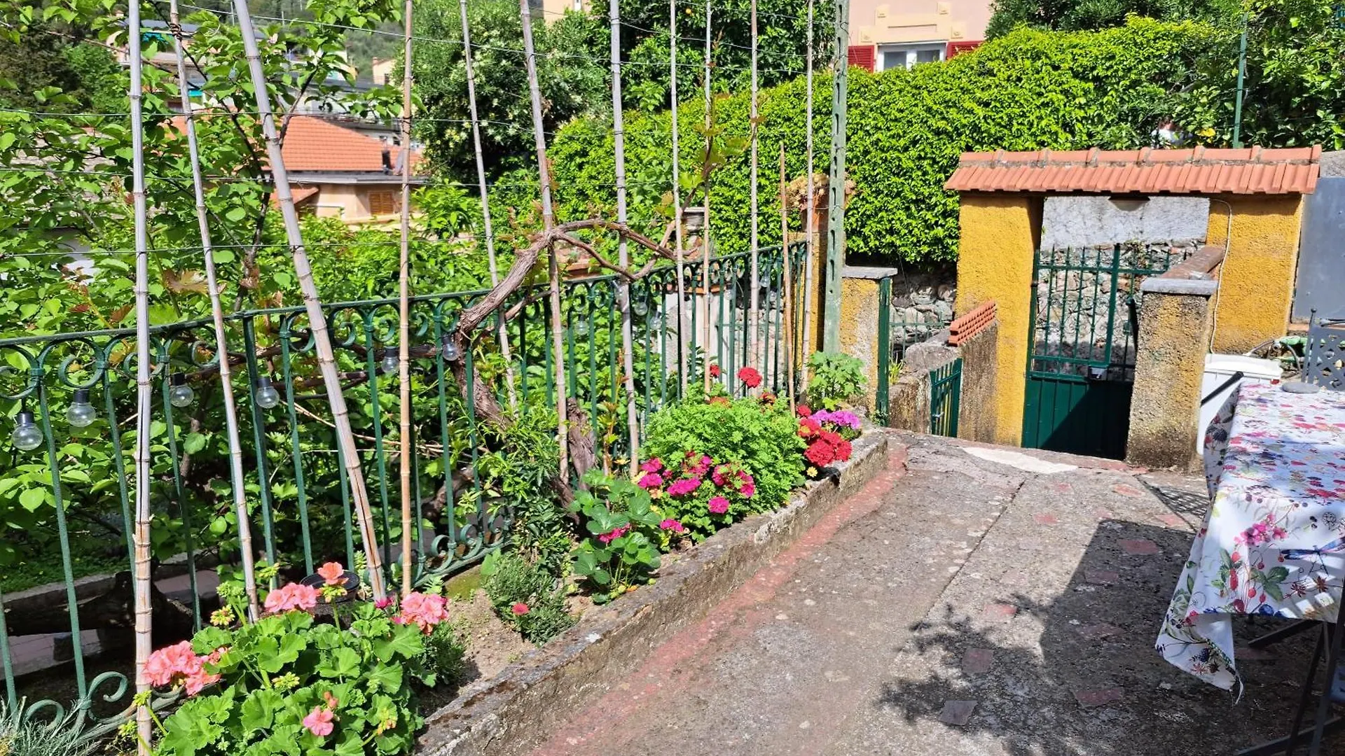 Apartment Affittacamere Sophie Monterosso al Mare